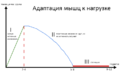 Adaptaciya.png