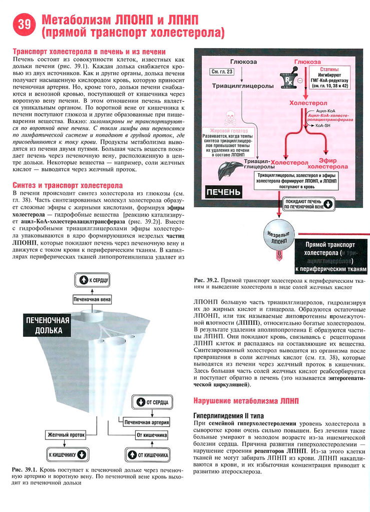 Файл:Scan88 1.jpg