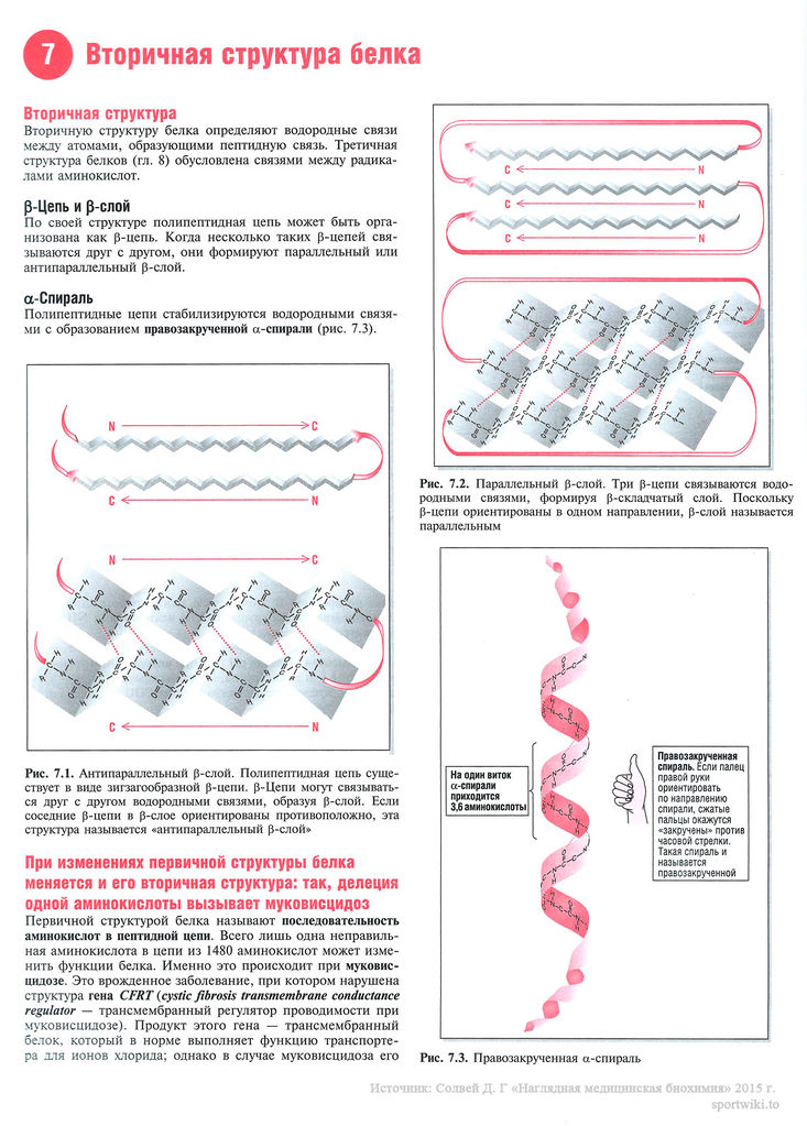 Файл:Scan 24 1.jpg