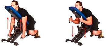 Молотковое сгибание в наклоне с опорой грудью