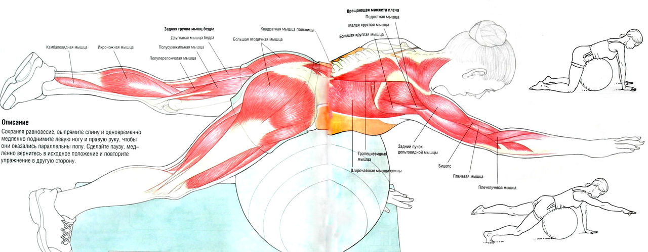Файл:SAM 4887.JPG