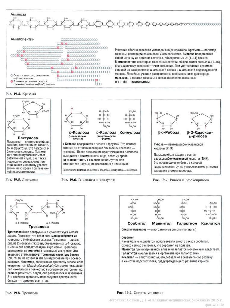 Файл:Scan49 1.jpg