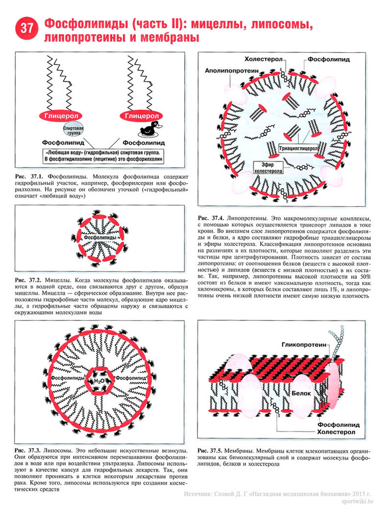 Файл:Scan84 1.jpg