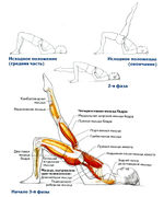 Мостик на плечах