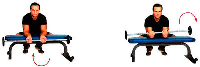 Сгибание запястий на скамье