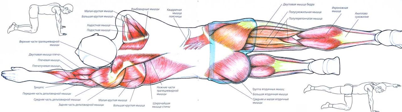 Файл:Atlas fitnesa45.jpg
