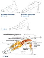 Боковые сгибания позвоночника с опорой на одну руку