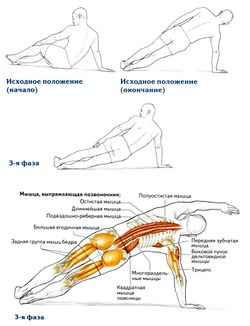Боковые сгибания позвоночника с опорой на одну руку