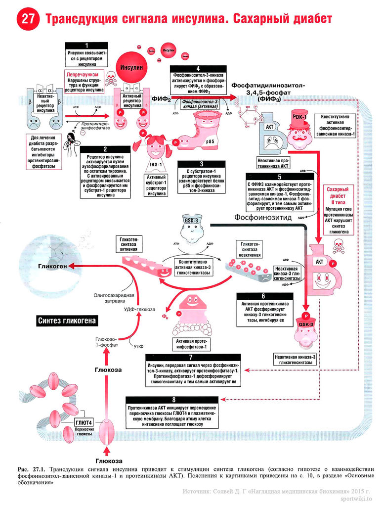 Файл:Scan64 1.jpg