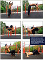 Explosive-Calisthenics69.jpg
