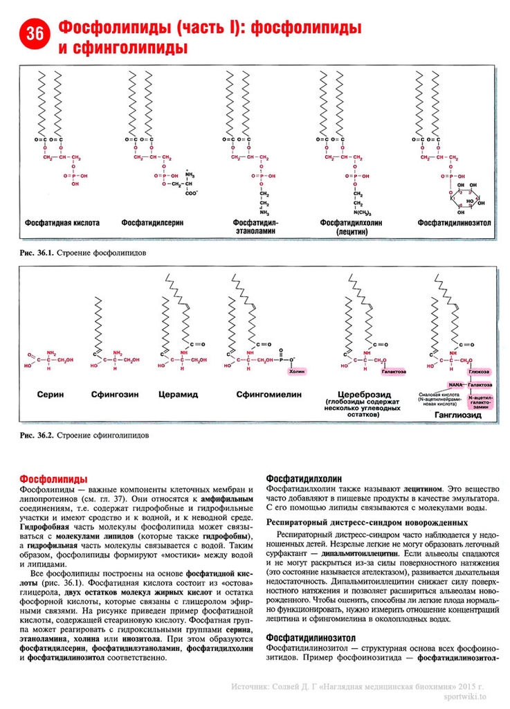 Файл:Scan82 1.jpg