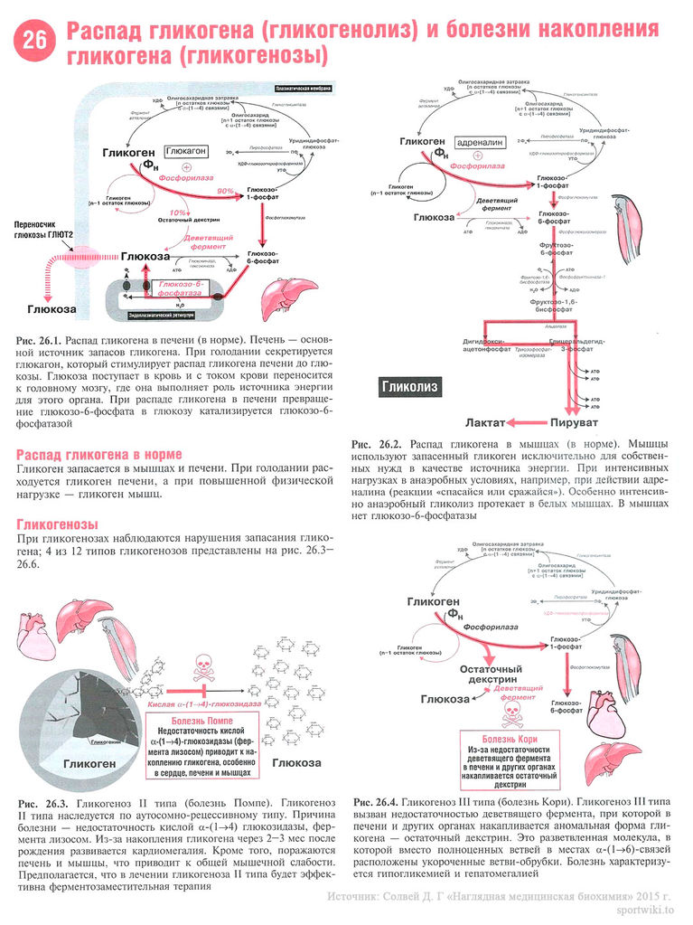 Файл:Scan62 1.jpg