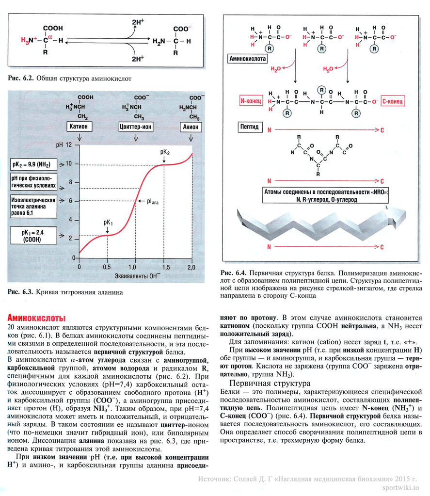 Файл:Amino acid 23.jpg