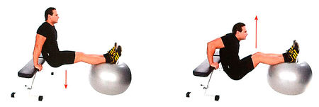 Вертикальное отжимание на фитболе