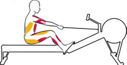 Заключительный этап движений на гребном тренажере