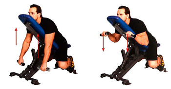 Обратное сгибание рук в наклоне с опорой грудью