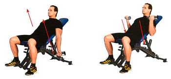 Сгибание рук с гантелями на наклонной скамье