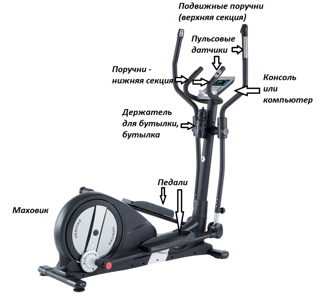 Файл:Proxima veritas 3.png