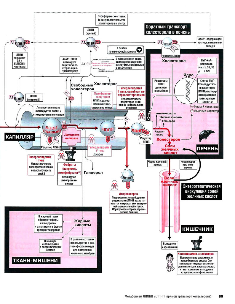 Файл:Scan89 1.jpg