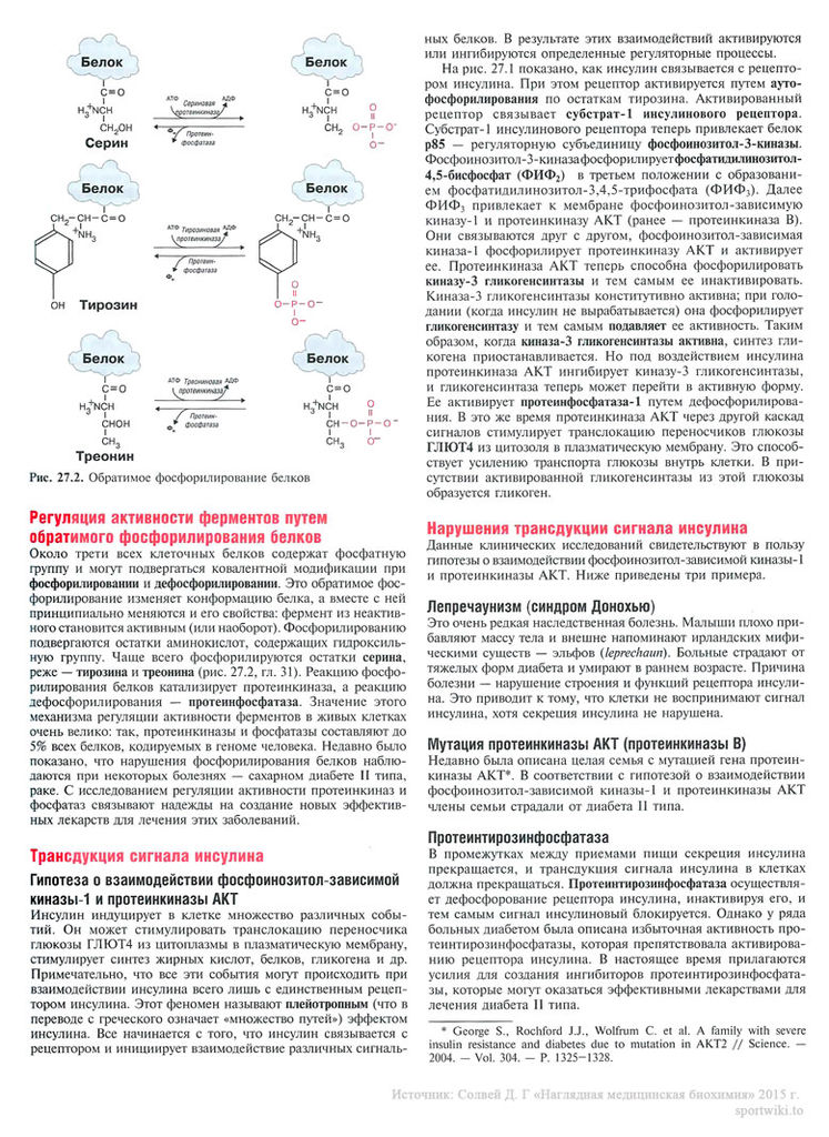Файл:Scan65 1.jpg