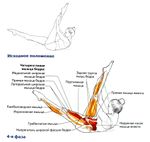 Растяжка задней поверхности бедра