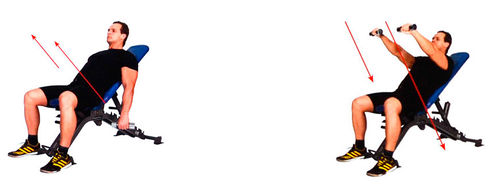 Подъем гантелей перед собой лежа на наклонной скамье