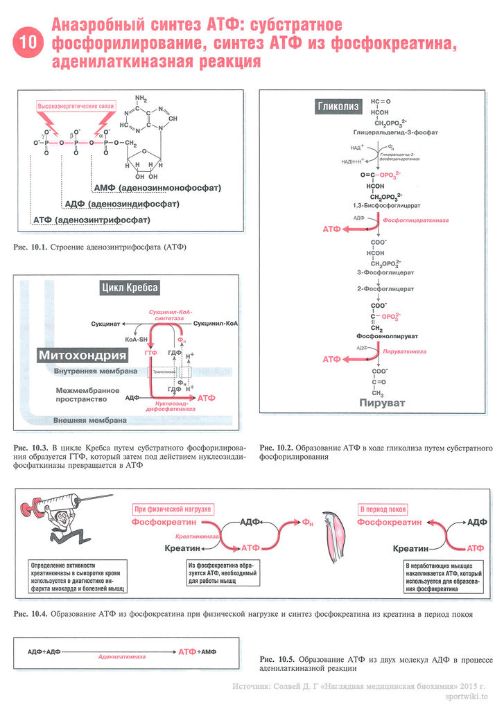 Файл:Scan 30 1.jpg