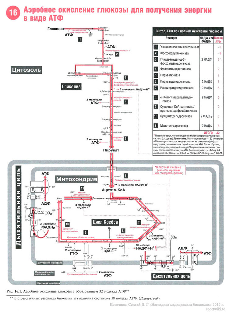 Файл:Scan42 1.jpg