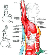 Разгибание руки на трицепс за головой с использованием резинового эспандера
