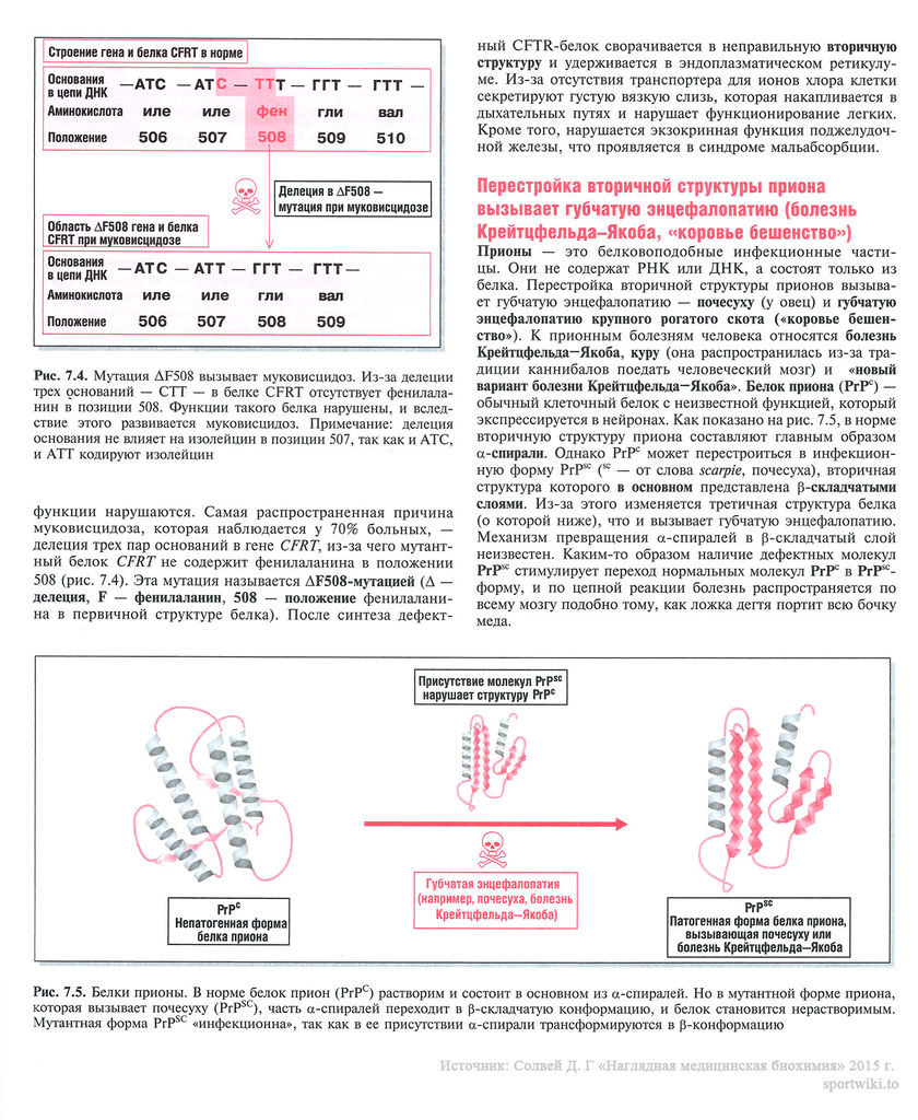 Файл:Scan 25 1.jpg