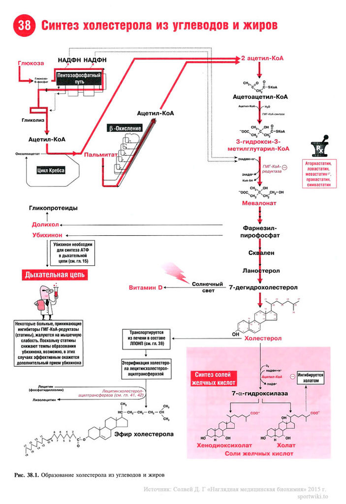 Файл:Scan86 1.jpg