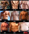 Body fat.jpg