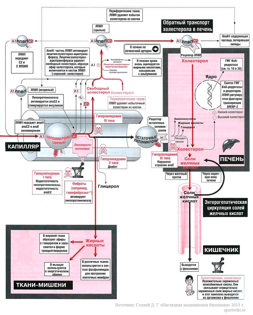 Файл:Scan95 1.jpg