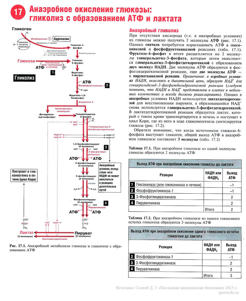 Файл:Scan44 1.jpg
