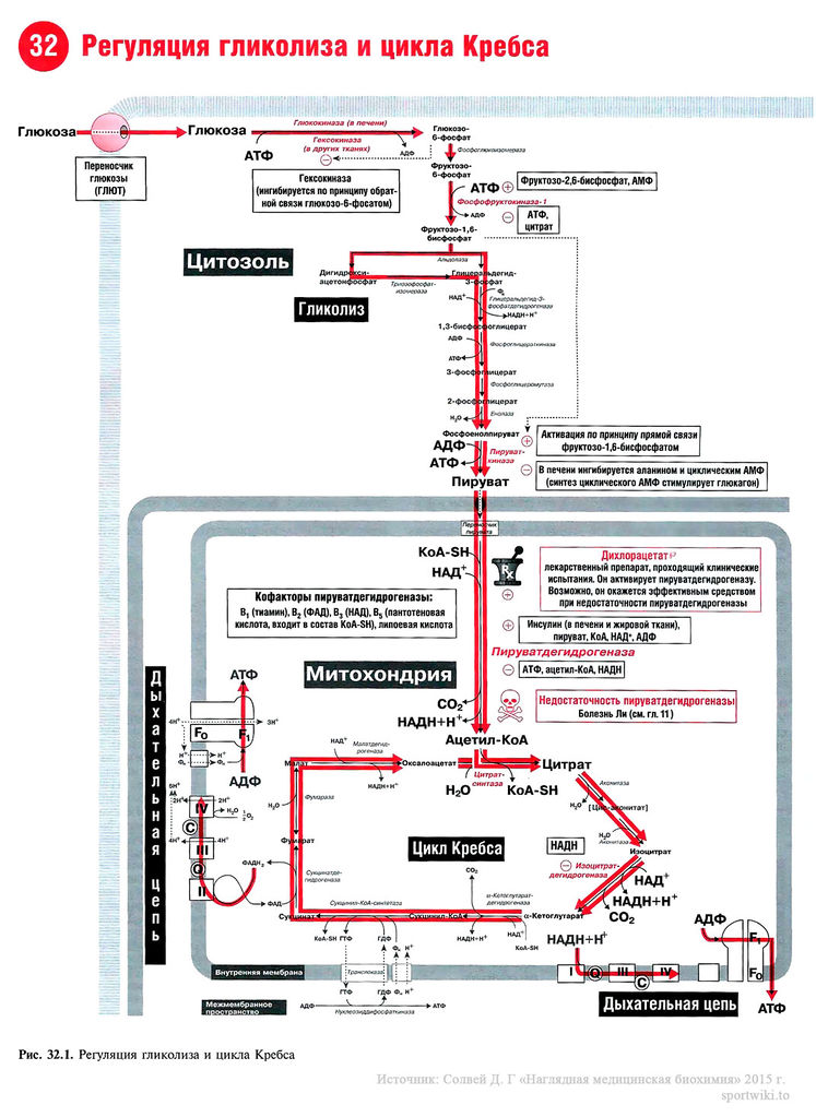 Файл:Scan74 1.jpg