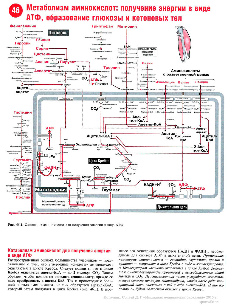 Файл:Scan102 1.jpg