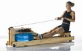 WaterRower Rowing Simulator.jpg