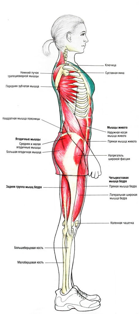Файл:SAM 48552.jpg