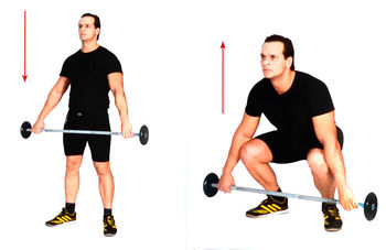 Приседания со штангой впереди