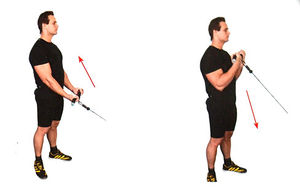 Сгибание рук на тросовом тренажере