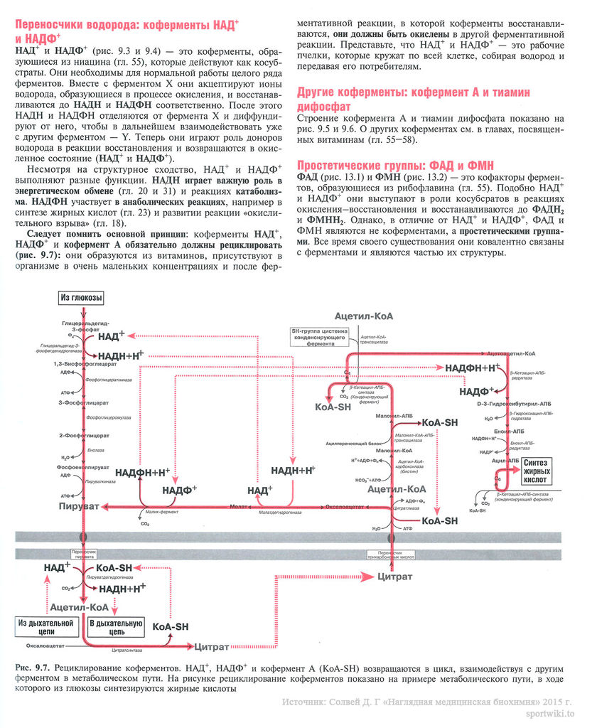 Файл:Scan 29 1.jpg