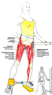 Техника выполнения отведения ноги на блоке