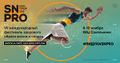 SN PRO 2019.jpg