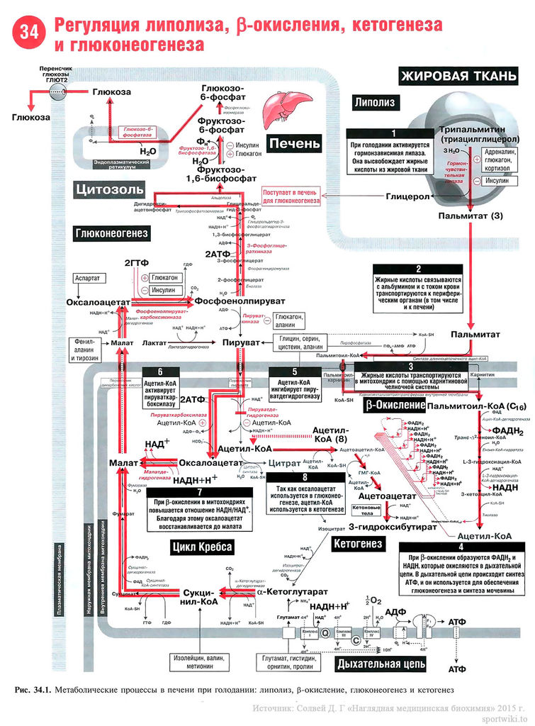 Файл:Scan78 1.jpg