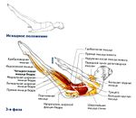 Упражнение сотня