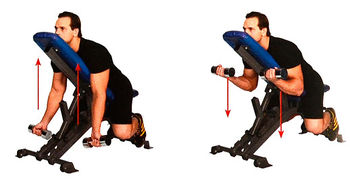 Сгибание рук в наклоне с опорой грудью