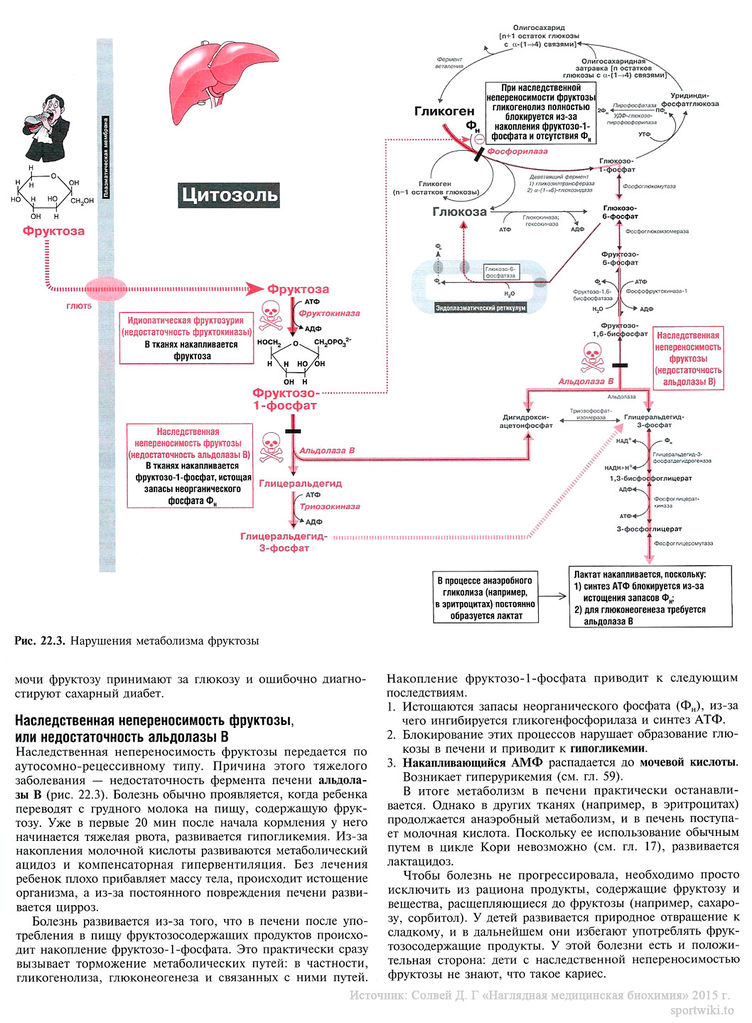 Файл:Scan55 1.jpg