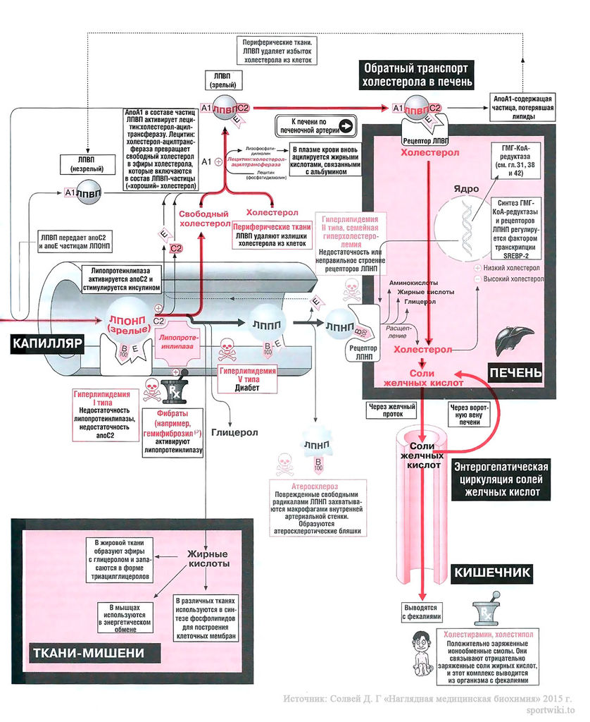 Файл:Scan93 1.jpg