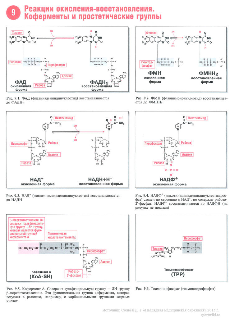 Файл:Scan 28 1.jpg