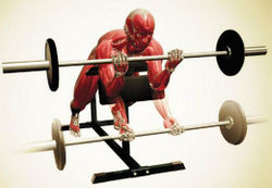 Паучьи сгибания со штангой